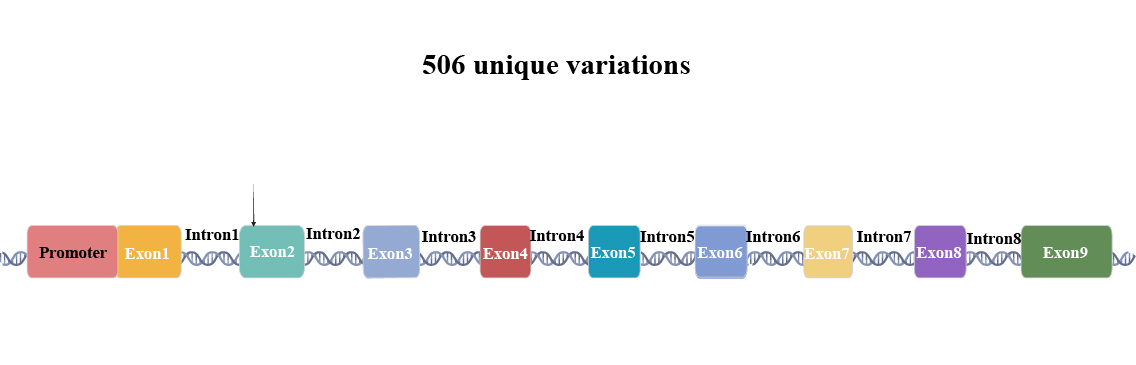 cDNA and HGVS Variations Query