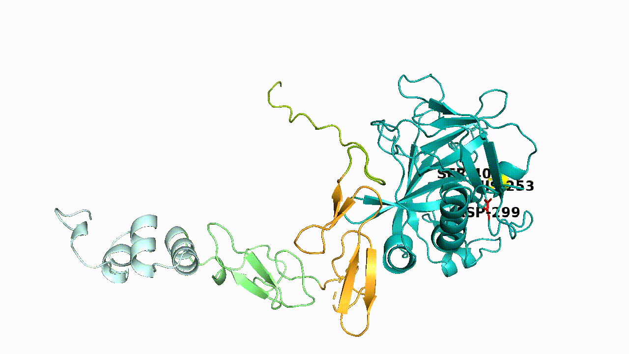 Basic Information on PROC